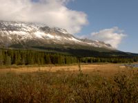 Trail near East Glacier